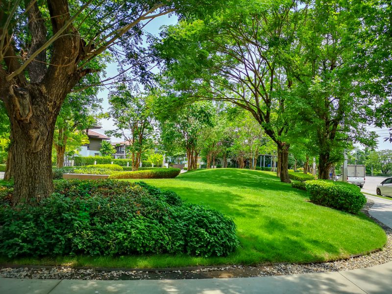 Tree Curbing Installation
