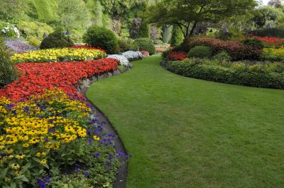 Commercial Landscaping