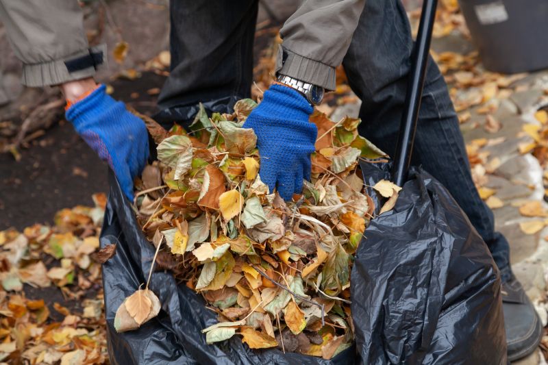 Gathered Leaves Ready for Disposal