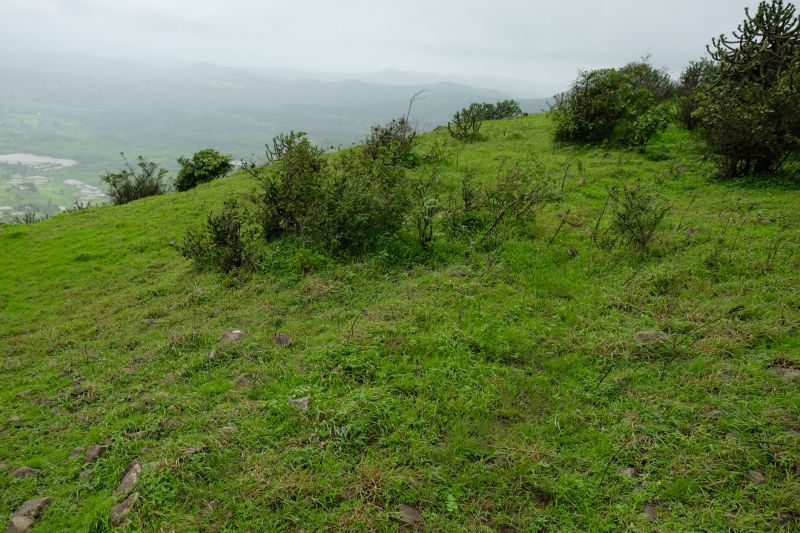 Landscape Contouring