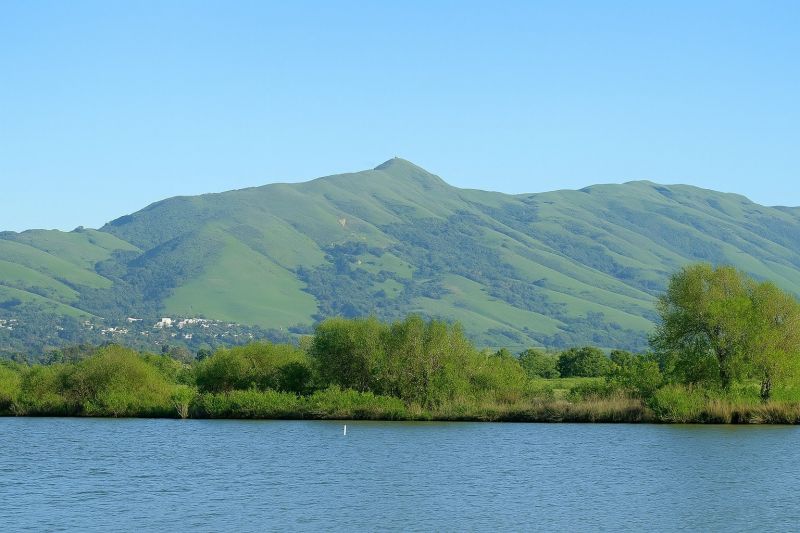 Landscape Contouring