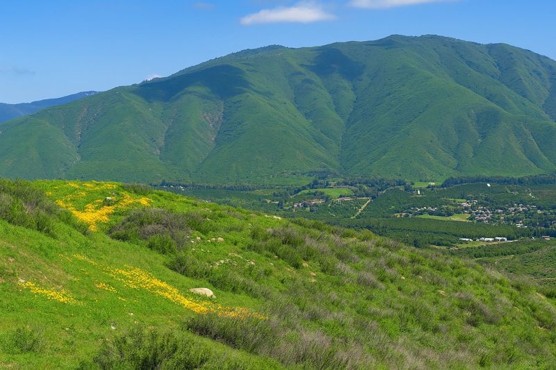 Landscape Contouring