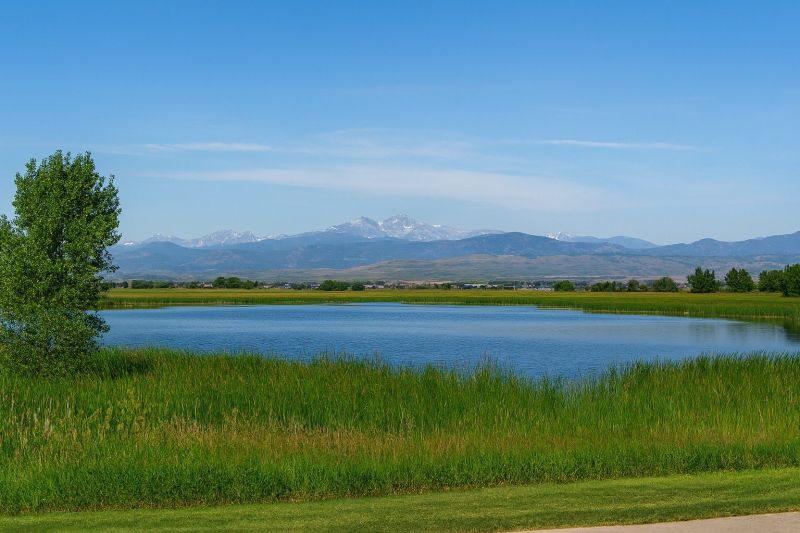 Landscape Contouring