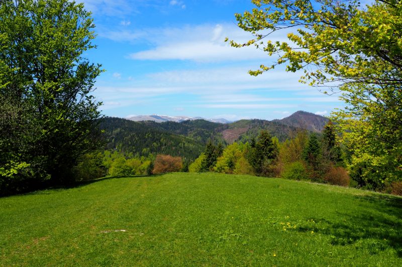 Landscape Contouring