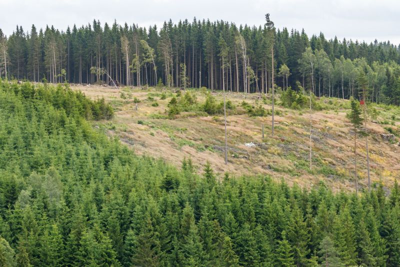 Landscape Contouring