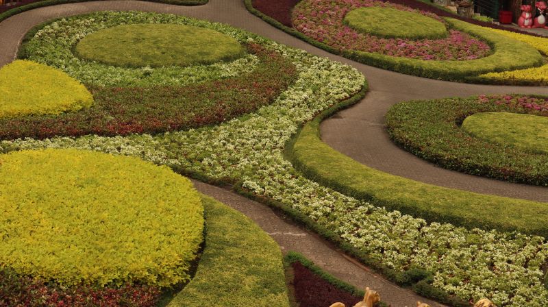 Summer Landscape Shaping