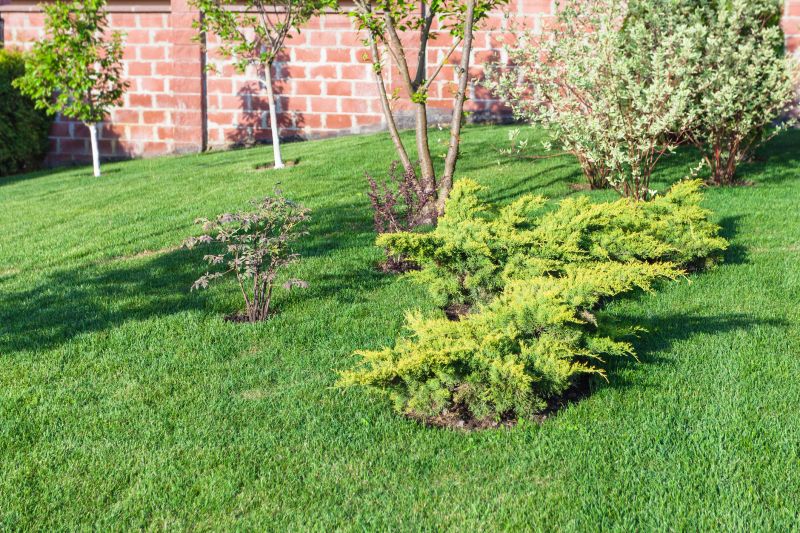 Landscaped Sloped Yard