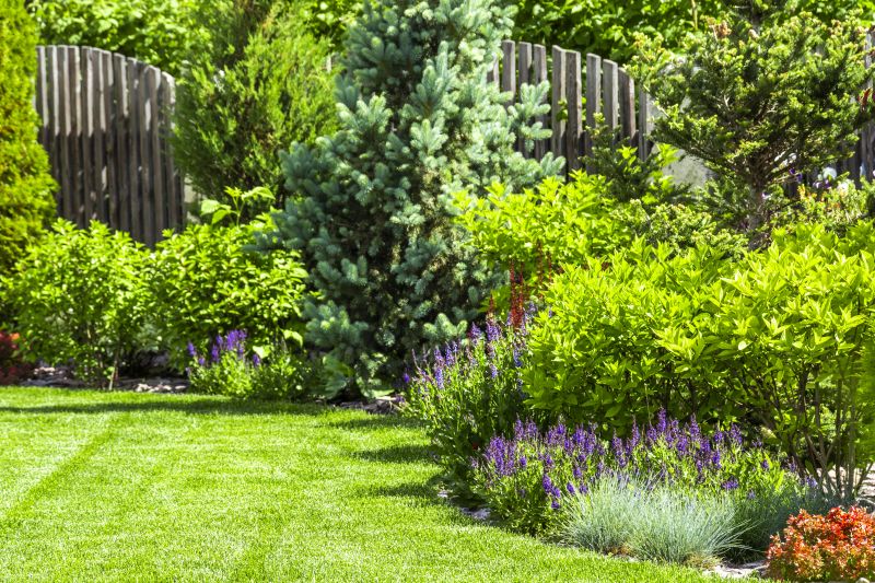 Landscaping Replacement