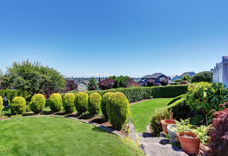 Lawn Landscaping