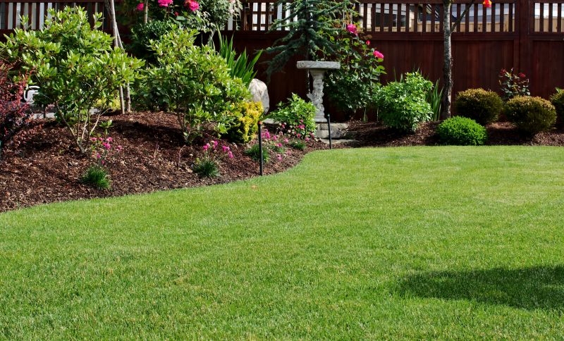 Lawn Repair Service