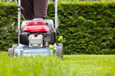 Lawn Repair Service