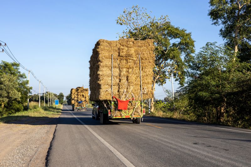Pine Bark Delivery