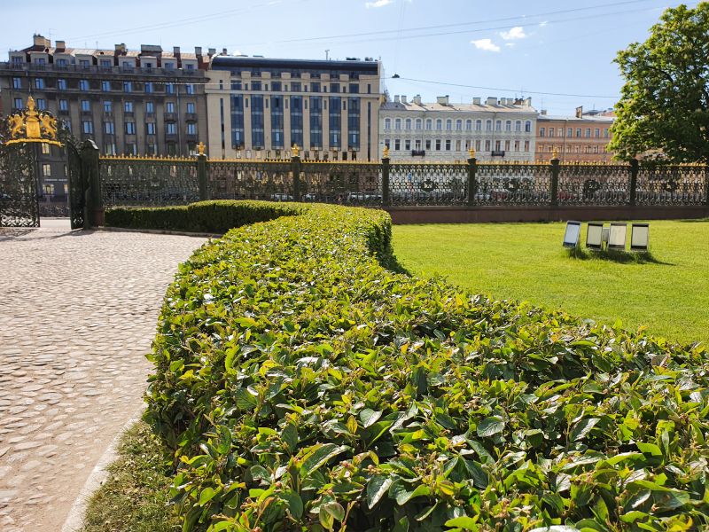 Shrub Installation